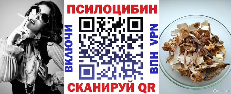 Псилоцибиновые грибы Psilocybine cubensis  как найти наркотики  Ливны 